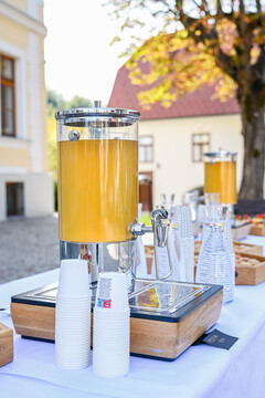 leskovec (76)